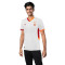 Maillot Puma Extérieur Galatasaray 2024-2025