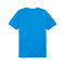 Camiseta Puma teamGOAL Cotton
