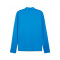 Puma teamGOAL Sweatshirt
