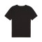 Puma teamRISE Matchday s/s Jersey