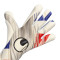 Uhlsport Absolutgrip Foam France Euro24 Gloves