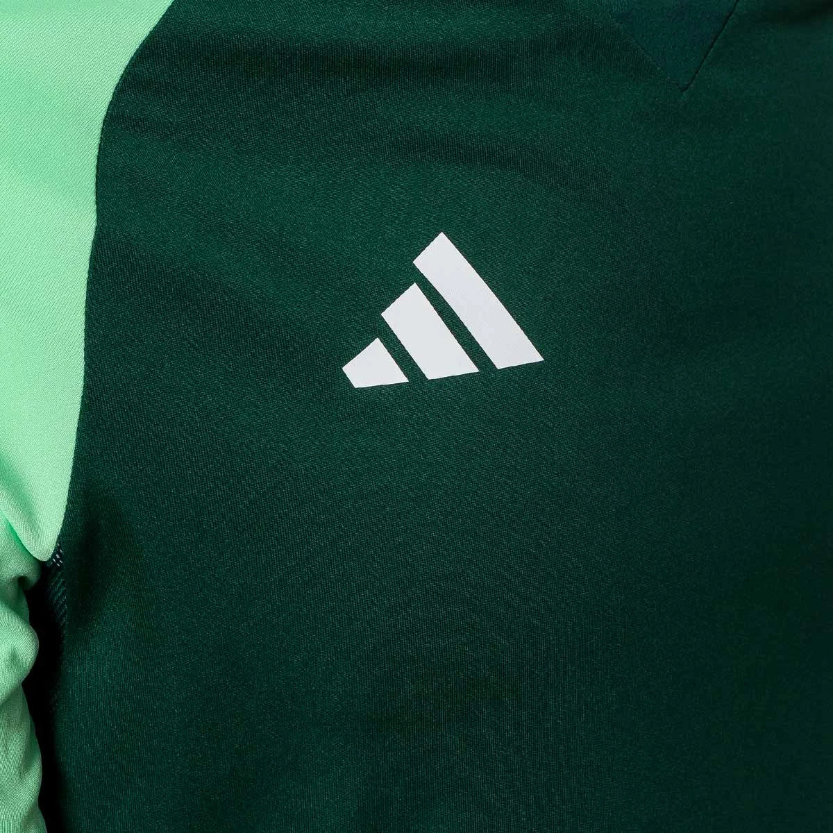 Champion sweater fake vs real zaragoza sale