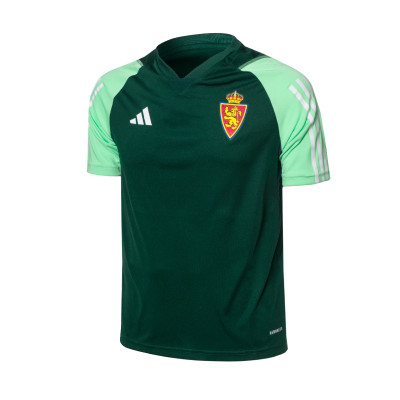 Real Zaragoza Training  2023-2024 Niño Pullover