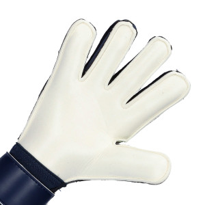 PAUME-1