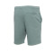 Meteora Short Essential Shorts