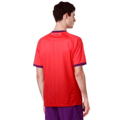 Fiorentina 2024-2025 Third Jersey