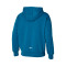 Mizuno Athletics Graphic Hoody Sweatshirt