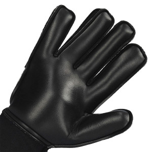 PAUME-1
