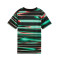 Puma Kids Portugal 2024-2025 Pre-Match T-Shirt