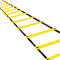 Training ladder (4 metres y 10 steps)