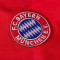 Camiseta COPA Fc Bayern München 1988 - 89 Retro Football Shirt