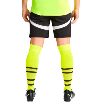 BVB Borussia Special Edition 2024-2025 Shorts