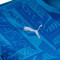 Camiseta Puma Olympique Marsella Pre-Match 2024-2025