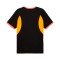 Camiseta Puma Individualliga Graphic Jersey