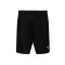 Puma Individualliga Training Shorts 2 Jr Shorts