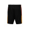 Puma Individualliga Shorts 2 Jr Shorts
