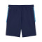 Short Puma Individualliga Training Shorts 2 (Open Pockets)