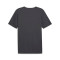 Jersey Puma Individualrise Graphic Jersey
