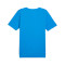 Jersey Puma Individualrise Graphic Jersey
