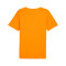 Jersey Puma Individualrise Graphic Jersey