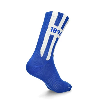 Calcetines Fc Porto 1893 (1 Par)