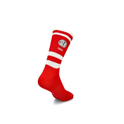 Sl Benfica 1904 (1 Par) Socks