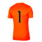 Camiseta Nike Park VII m/c Niño CF. Base Sagunto