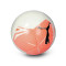 Balón Puma Big Cat