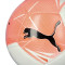 Balón Puma Big Cat