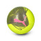 Balón Puma Big Cat