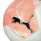 Balón Puma Mini Big Cat