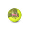 Balón Puma Mini Big Cat