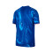 Jersey Nike Chelsea FC Primera Equipación 2024-2025
