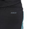 Pantalón corto adidas FC Bayern Training 2024-2025