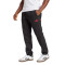 Pantalón largo adidas Ajax Fanswear 2024-2025