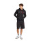 Sudadera adidas Ajax Fanswear 2024-2025