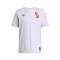 Camiseta adidas FC Bayern Fanswear 2024-2025