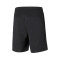 Puma teamRISE Training Utebo FC Bermuda Shorts