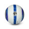 Nike Premier League 2024-2025 Academy Ball