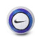 Nike Premier League 2024-2025 Flight Ball