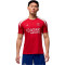 Camiseta Nike PSG Training 2024-2025