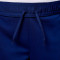 Calções Nike PSG Training 2024-2025 Criança