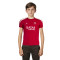 Camisola Nike PSG Training 2024-2025 Criança