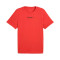 Jersey Puma Graphics Training Logo
