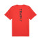 Jersey Puma Graphics Training Logo