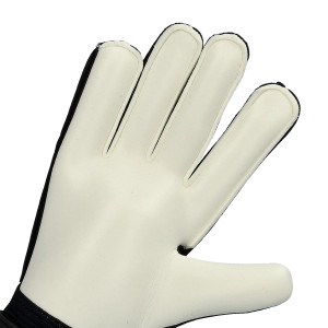 PAUME-1