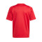 Camisola adidas Tiro 24 m/c Niño 24/25 Real Murcia CF SAD