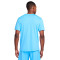 Camiseta Nike Run Energy Miler