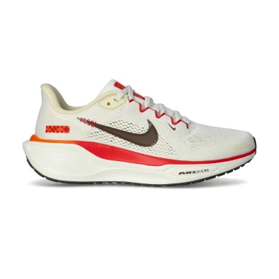 Chaussures Femme Air Pegasus 41