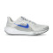 Tenis Nike Air Zoom Pegasus 41